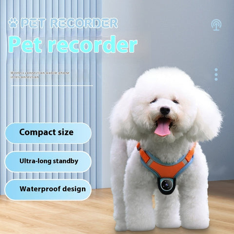 Pets collar camera recorder, Pet tracker collar, Dog and cats collar, Pet products