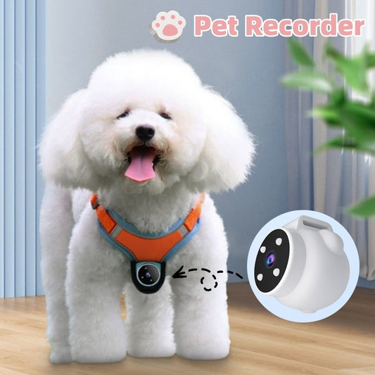 Pets collar camera recorder, Pet tracker collar, Dog and cats collar, Pet products